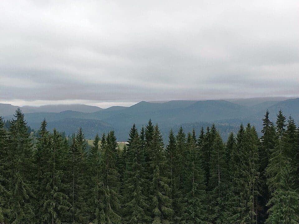 с. Ворохта - пер. Ріжі