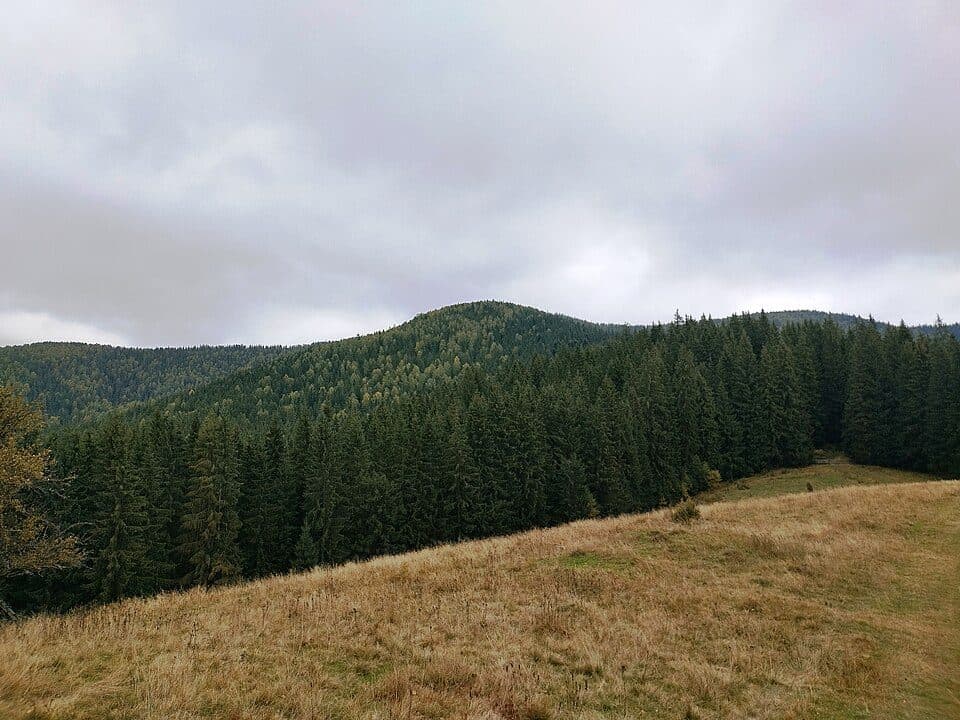 с. Ворохта - пер. Ріжі