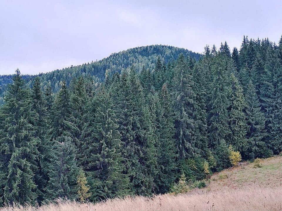Хребет Ребровач-Діл — fotografia 3