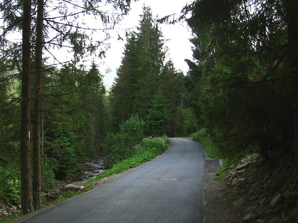 Ujsoły - Hala Rycerzowa