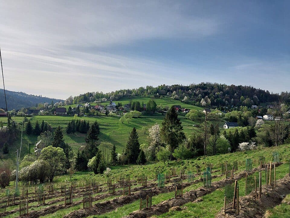Sól - przełęcz Przegibek