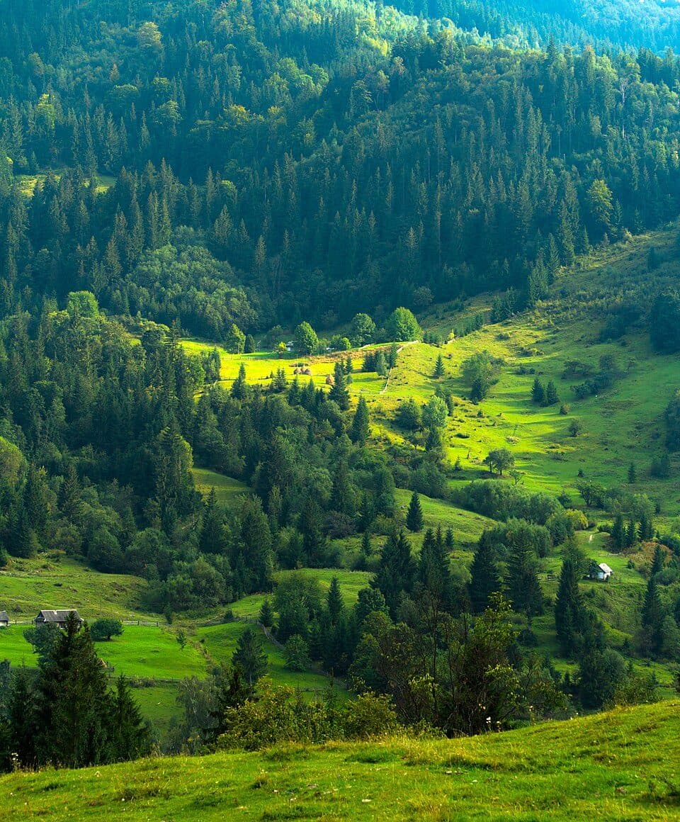 Красник — 2. fotó
