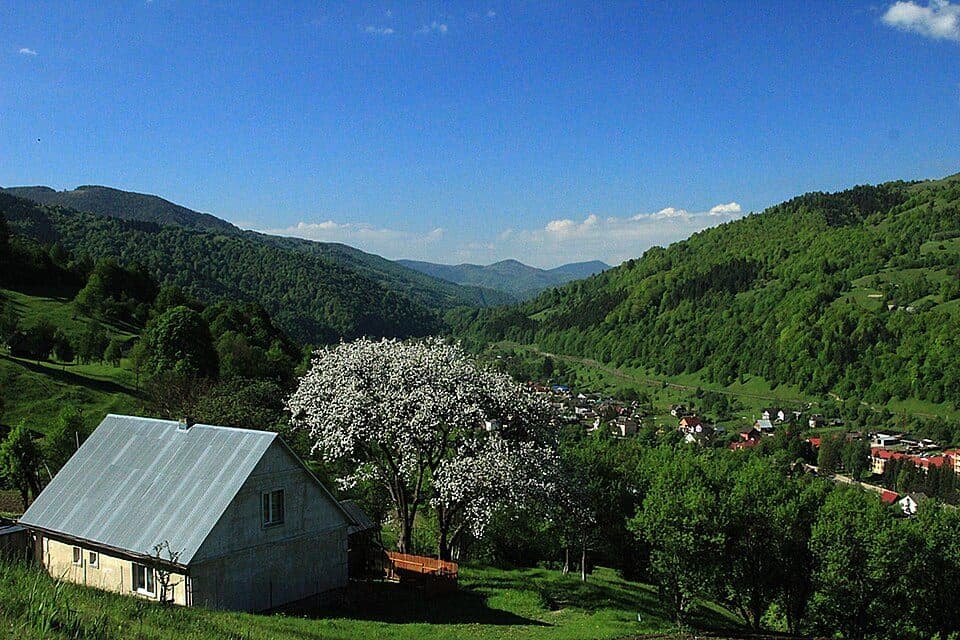 c. Кваси - пол. Менчул