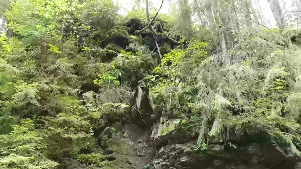 Дівочі Сльози — zdjęcie 2
