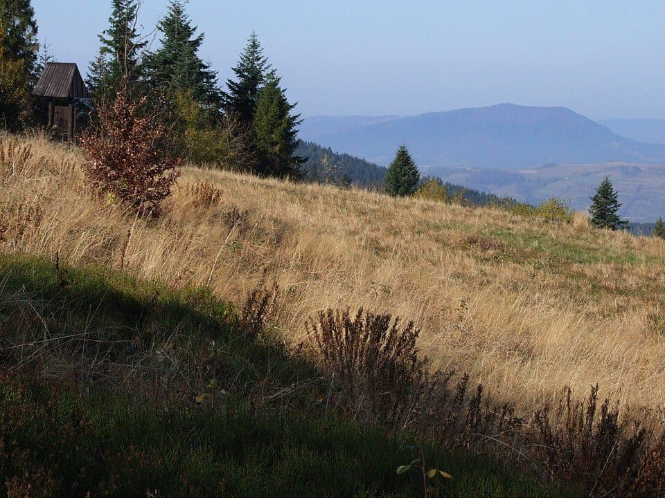 Kopa (Gorce)