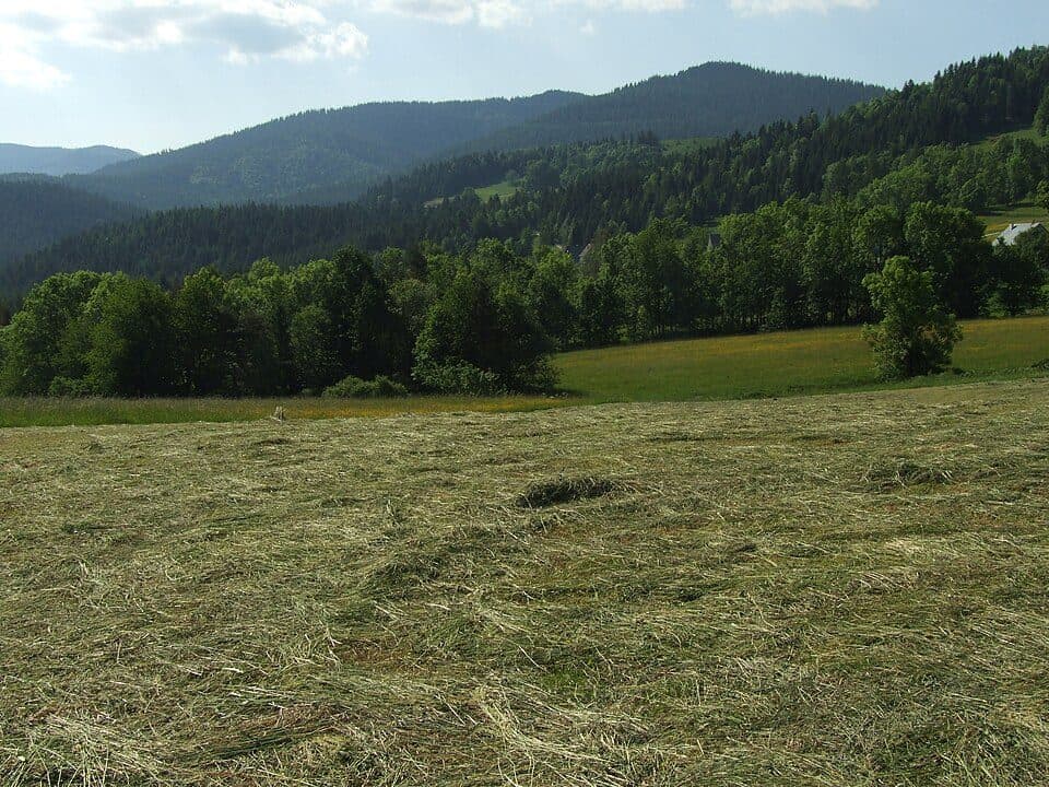 Turbaczyk - Konina - Kudłoń - Lubomierz