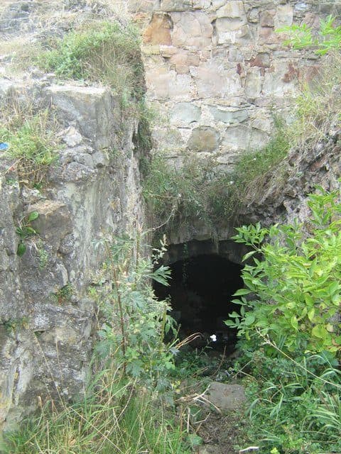 Burg Pniw — Foto 3
