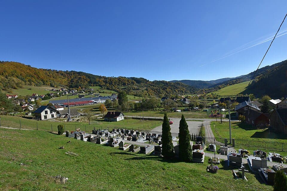Zubrzyk