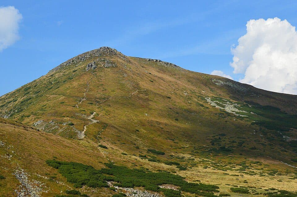 Turkuł — zdjęcie 3