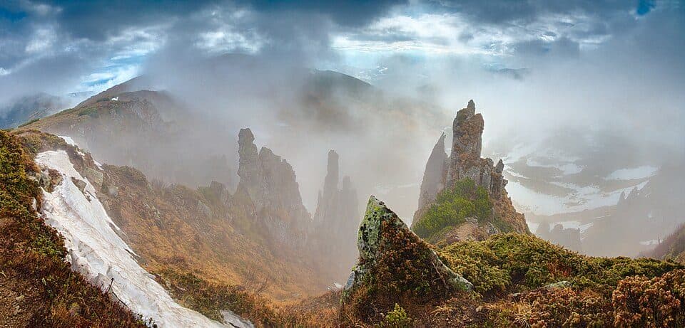 Заросляк - Несамовите