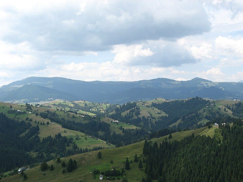 Зелене - Скупова