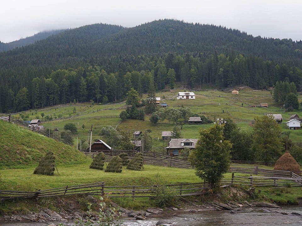Зелене - Скупова