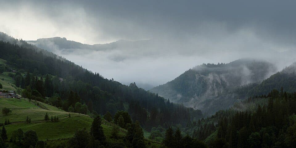 Зелене - Скупова