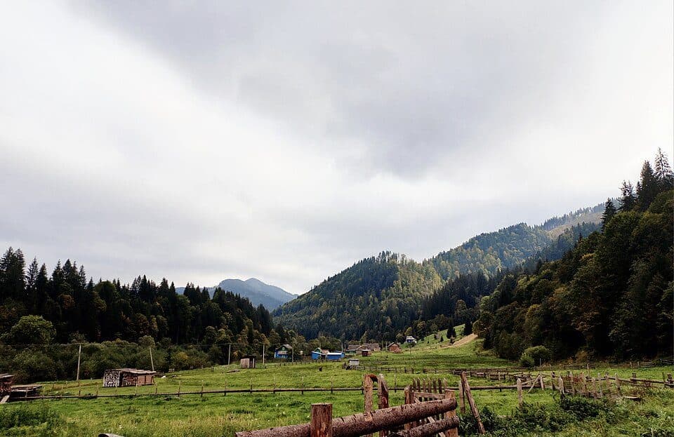 Hołoszyna (obwód iwanofrankiwski)