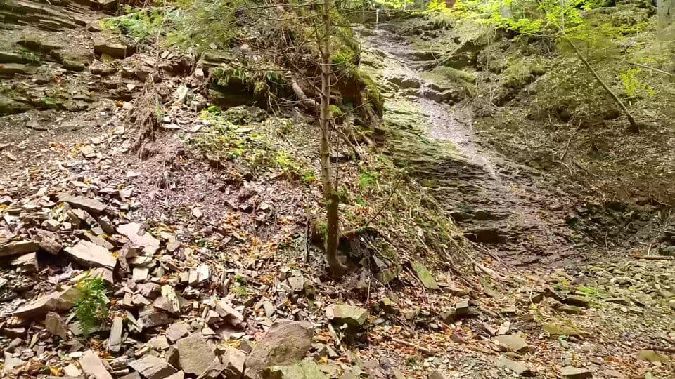 Водоспади Довбуш і Дзвінка — zdjęcie 2
