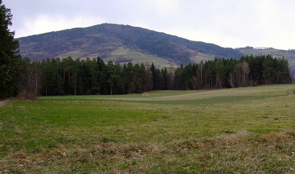 Kiczora (Pasmo Lubomira i Łysiny)