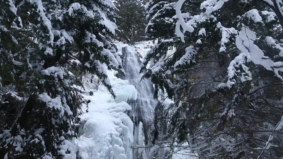 До водоспаду Ялинський