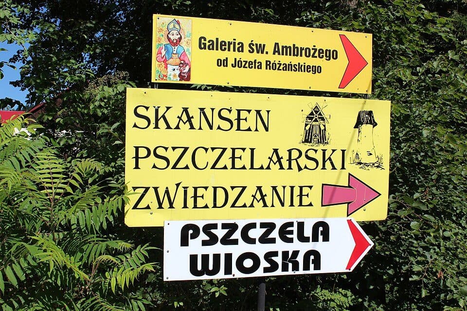 Mochnaczka Wyżna - Ptaszkowa