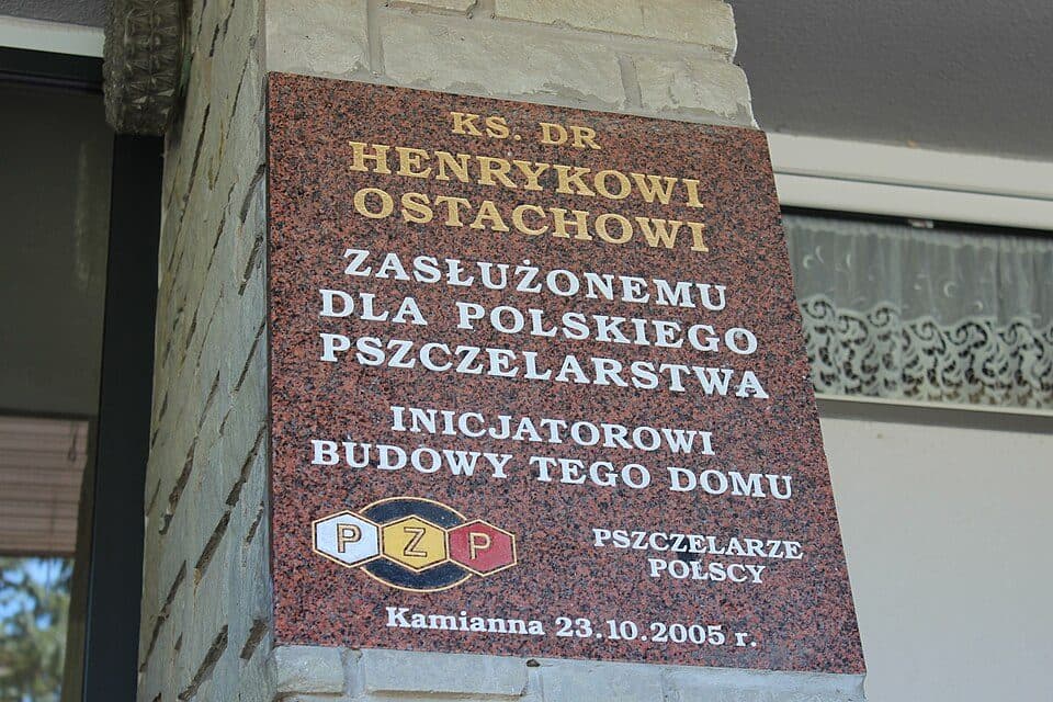 Mochnaczka Wyżna - Ptaszkowa