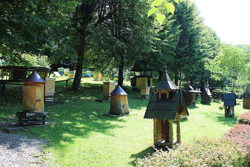 Mochnaczka Wyżna - Ptaszkowa