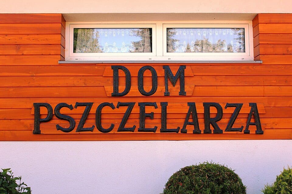 Mochnaczka Wyżna - Ptaszkowa