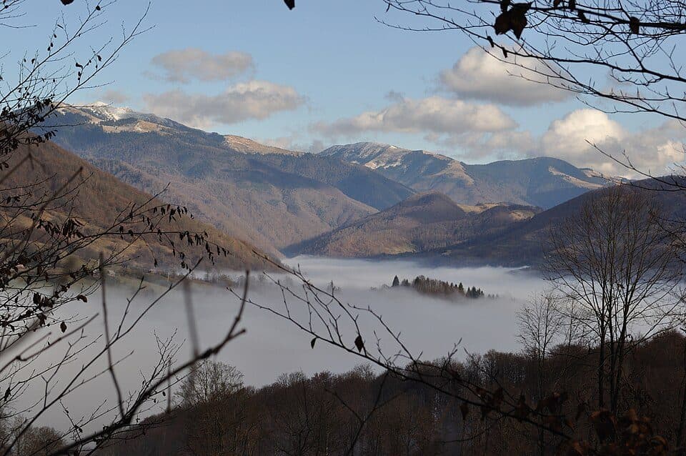 V. Vișeului - Cabana Paltin - Cantonul Silvic Repedea