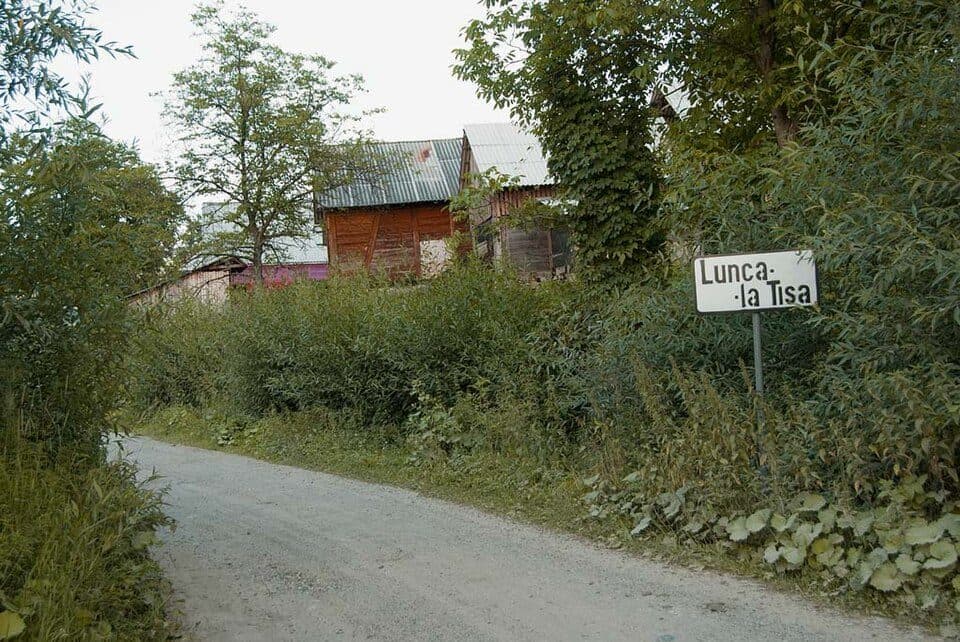 Lunca la Tisa — zdjęcie 3