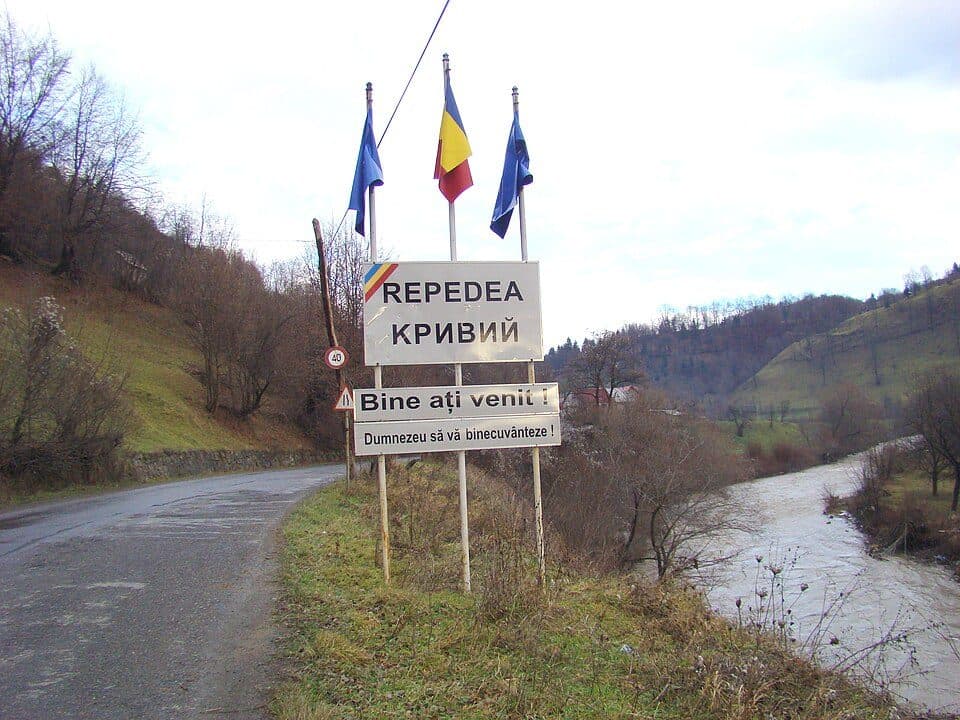 Repedea - P-na cu narcise - Cabana Paltinu