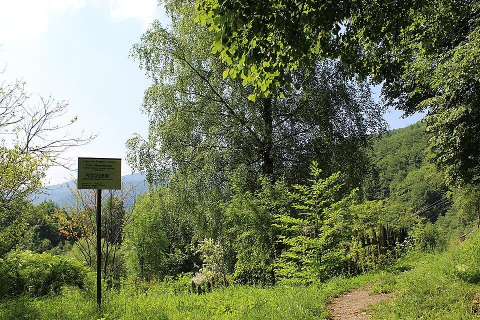 Museum für Bergökologie und Geschichte der Naturnutzung in den Ukrainischen Karpaten — Foto 2