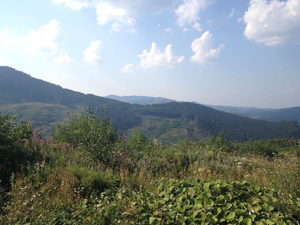 Szurdyn