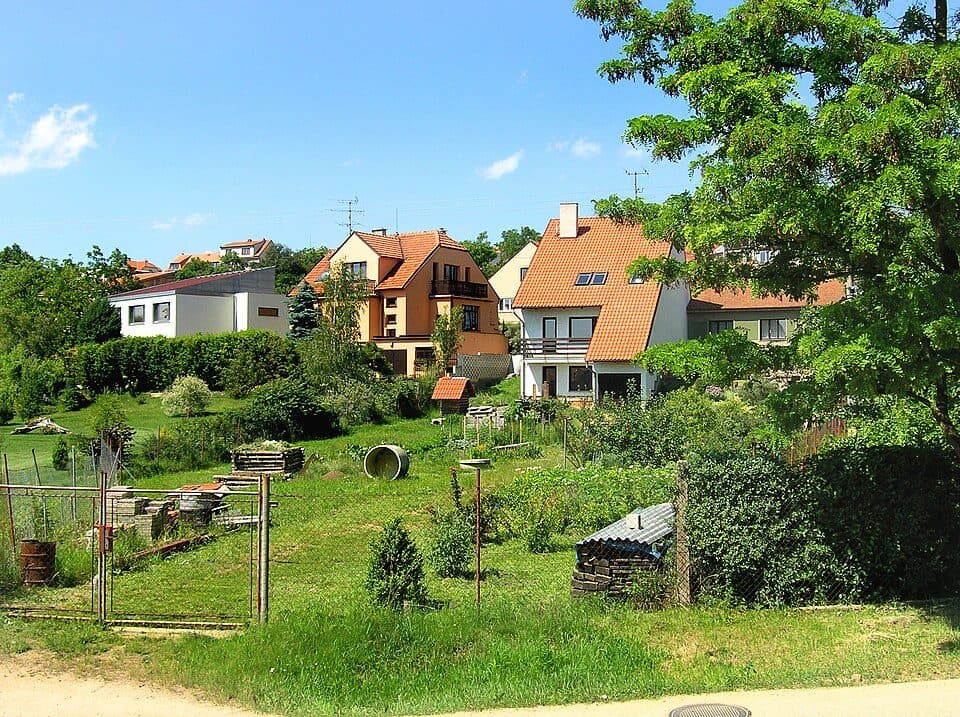 NS Pěšina