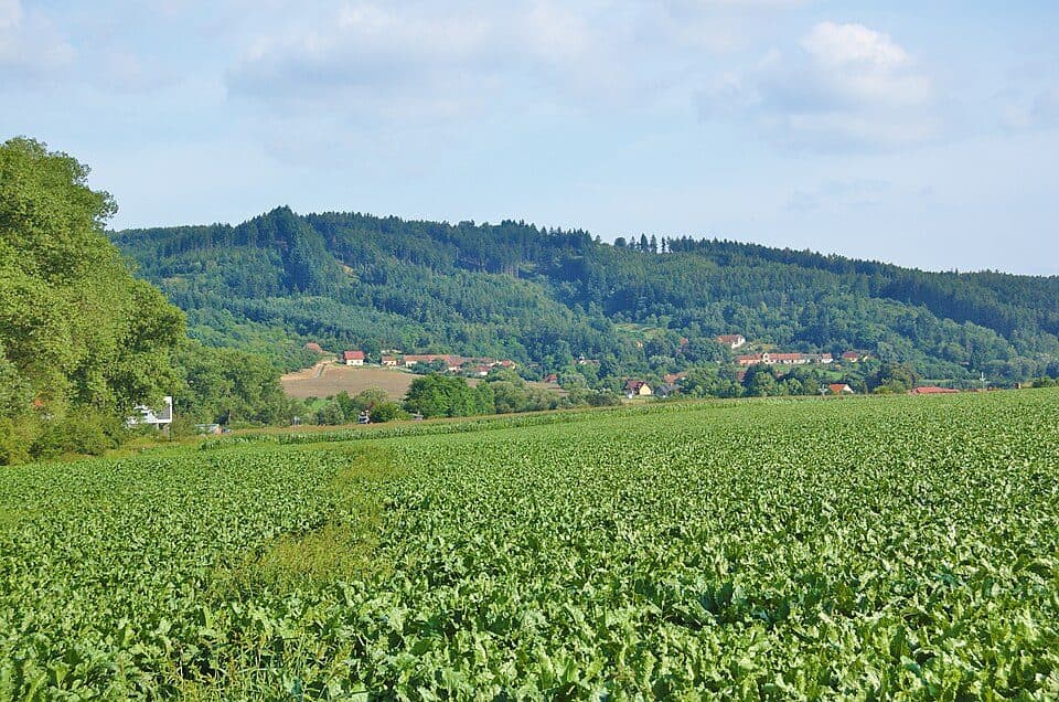 [M] Boskovice - Šebetov