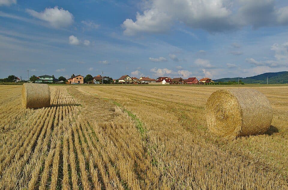 Sudice (kraj południowomorawski) — zdjęcie 1