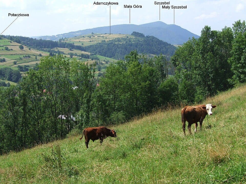 Jadamczyków Groń