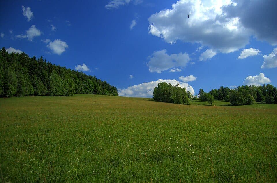 Kořenec — zdjęcie 2