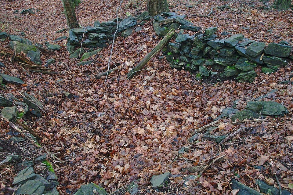Ježův hrad (Vícov) — zdjęcie 3