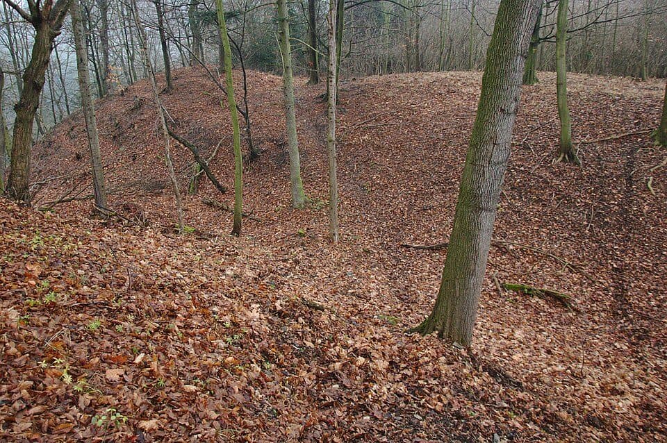 Ježův hrad (Vícov)
