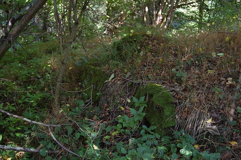 Ježův hrad (Vícov) — zdjęcie 2