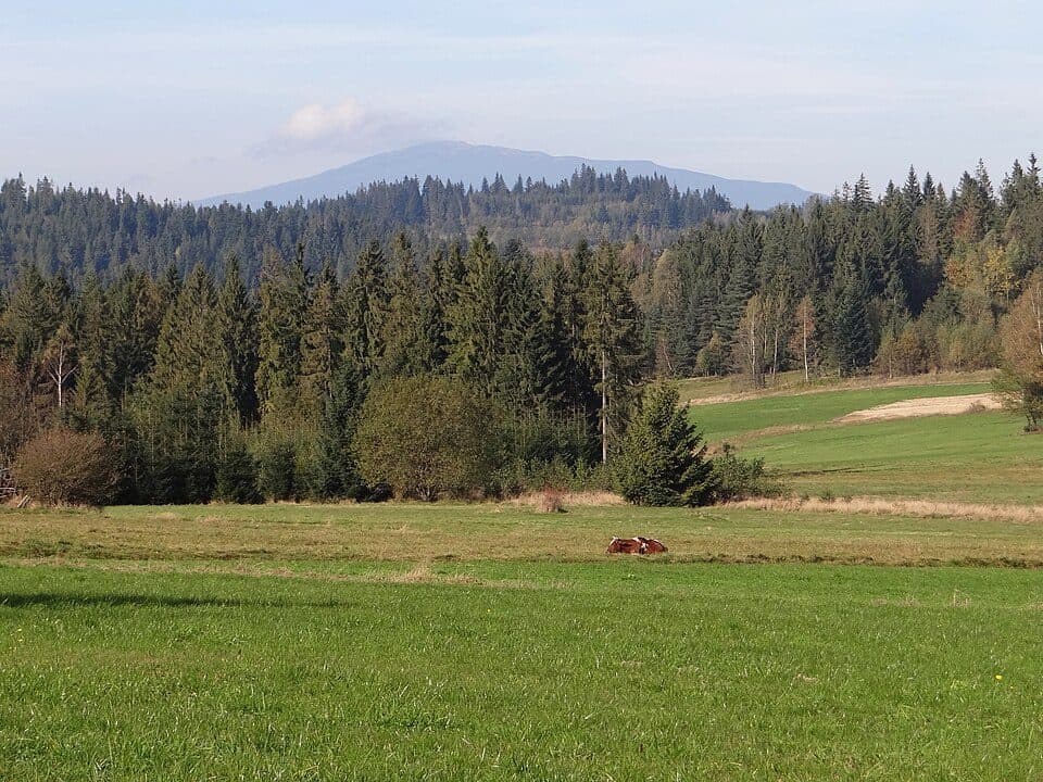 Wielki Dział (Beskid Orawsko-Podhalański)