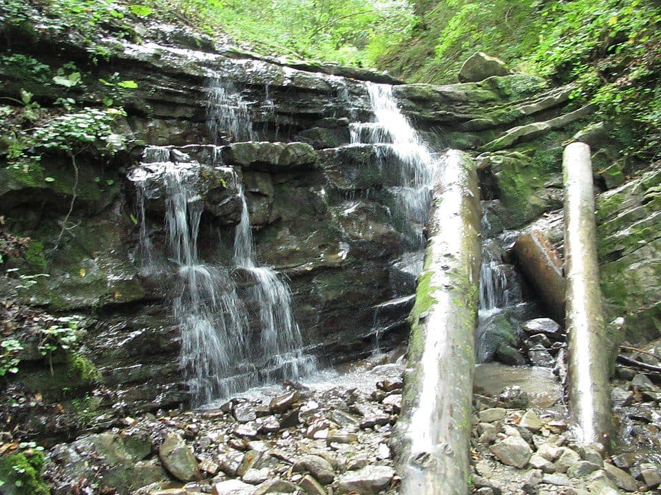 Сикавка — zdjęcie 2