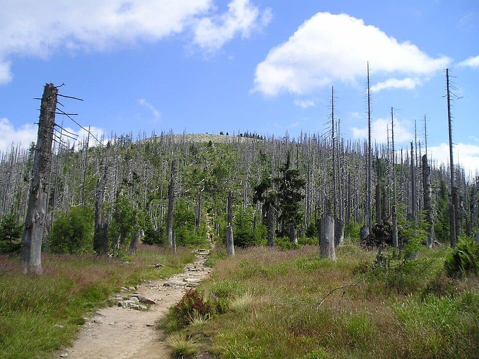 Luzný (Lusen)