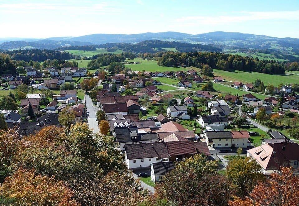Echtes Springkraut