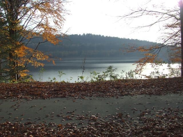 Frauenau — zdjęcie 2