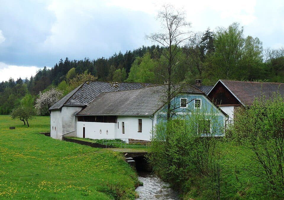 [Ž] Křišťanovický rybník - Husinec