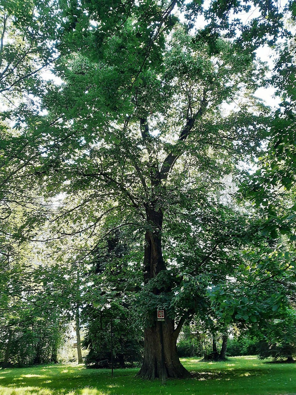 Zdíkov — fotografie 3