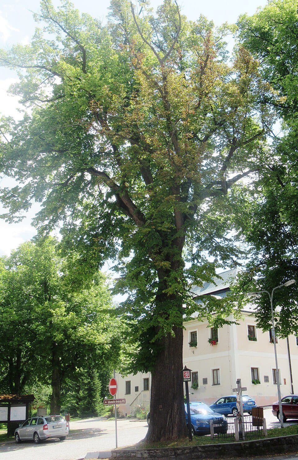 Stachy (Czechy) — zdjęcie 2