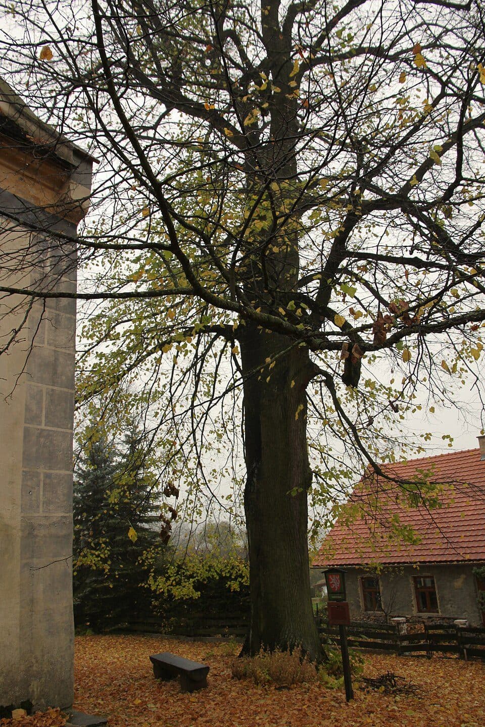 Zlatá stezka Černý Kříž - Prachatice