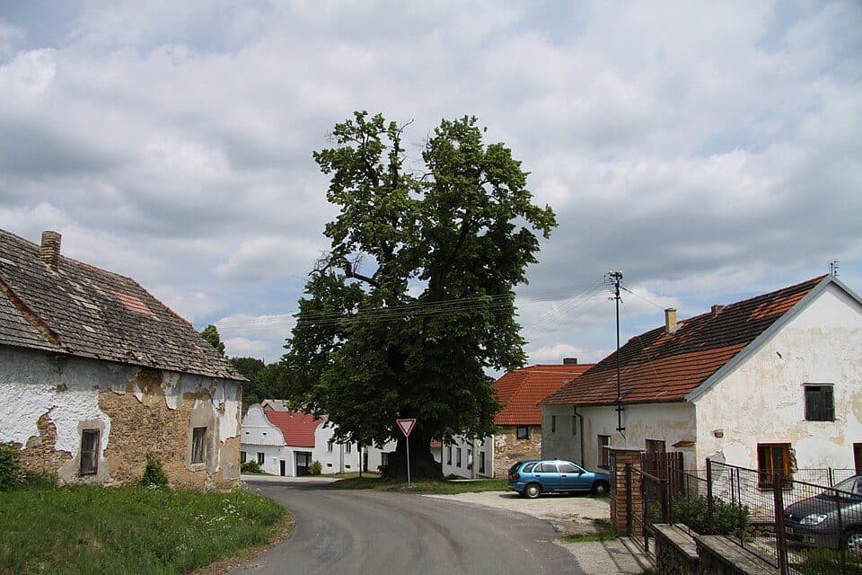 Zlatá stezka