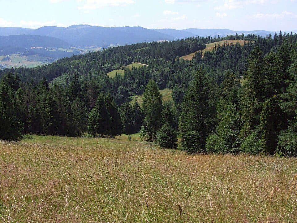 Turbaczyk - Konina - Kudłoń - Lubomierz
