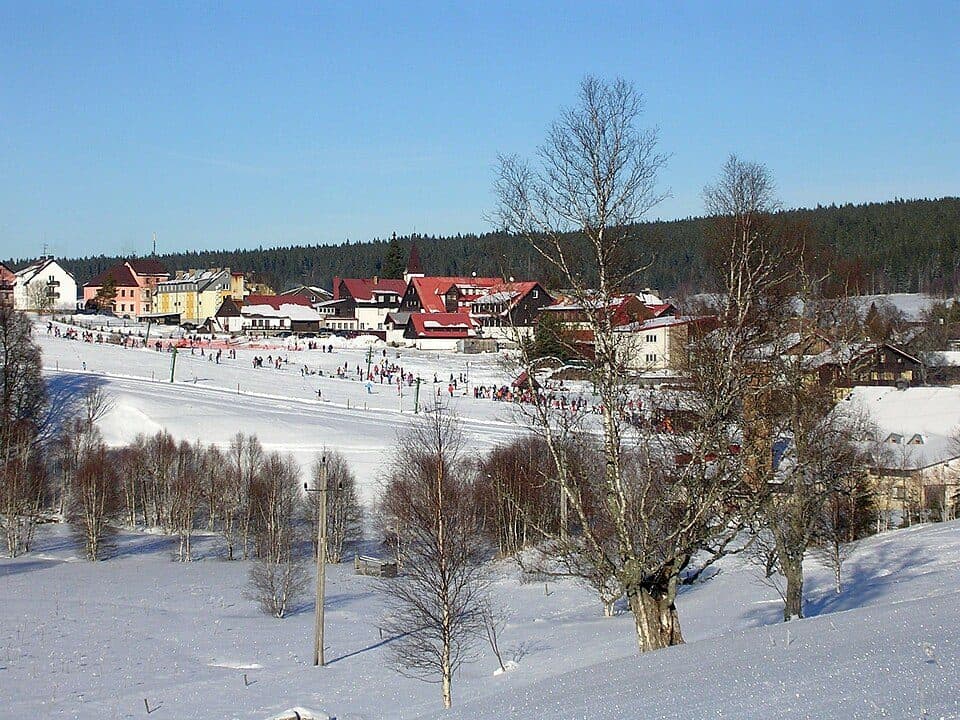 NS Nelesní krajina